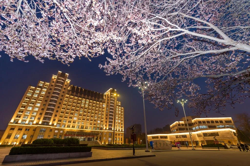 Hebei University campus illuminated beneath spring blossoms in Baoding