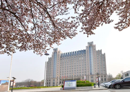 Hebei University main building framed by spring blossoms